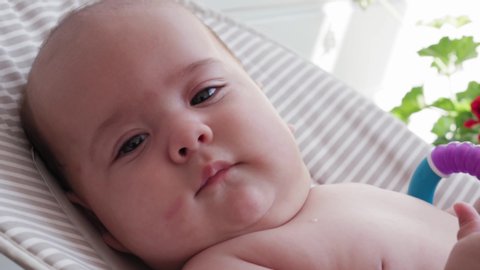 Bebe Noir Age De 2 Semaines Video De Stock 100 Libre De Droit Shutterstock