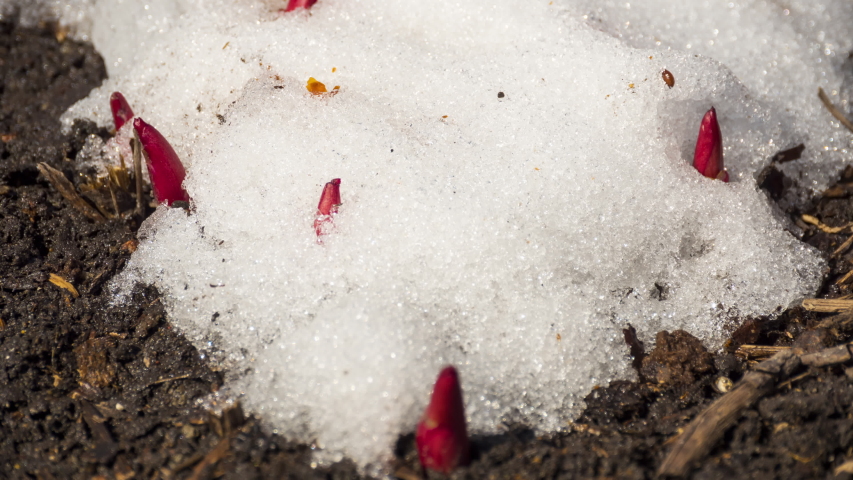 Snow is melting
