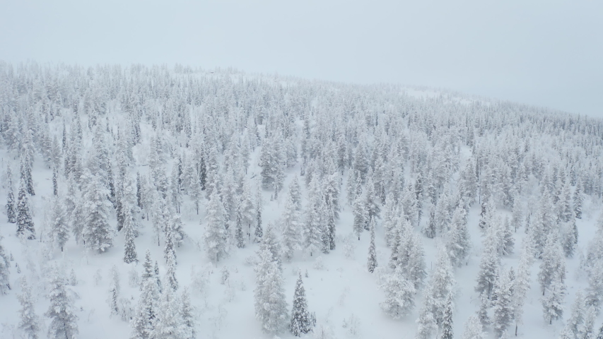 Flying above snow covered trees on a cloudy day giving an iconic aerial view of winter wonderland in Pallas-Yllastunturi National Park, Lapland Finland. Royalty-Free Stock Footage #1058105734