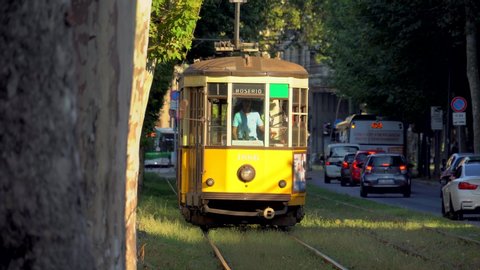 Milan Italy 08.29.2019: Public transport traffic on the street of the autumn city in Lombardy. Old yellow tram. Modern green tram. Sun on an autumn day. Tram rails. Green bus. Covid19 virus