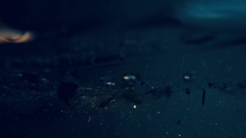 marine pollution problem making danger for marine animals