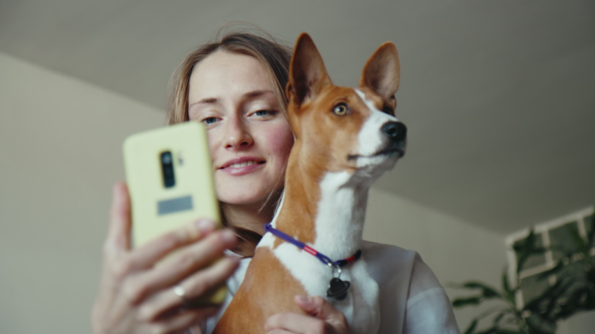Beautiful woman and basenji puppy dog taking selfie at home sitting in living room, looking at camera holding mobile phone. People and animals friendship. Royalty-Free Stock Footage #1058162785