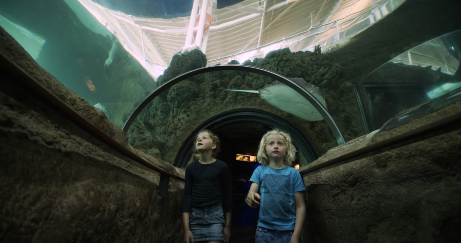 Low angled shot of two cute little children who are walking in an underwater tunnel in an aquarium.