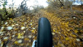 Mountain bike fast downhill - Stock Video, rear view pov