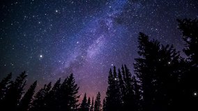 Video of dark forest with galaxy in background. Camera moves towards the galaxy or cosmos while stars flyby. Apt for motivational, meditation, intro or opener, music and spiritual videos.
