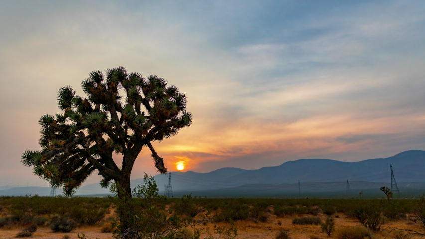 The evening sun sets behind the mountain range with a Joshua tree and the Mojave Desert landscape in the foreground - static time lapse with smoke and haze from the Lake FIre