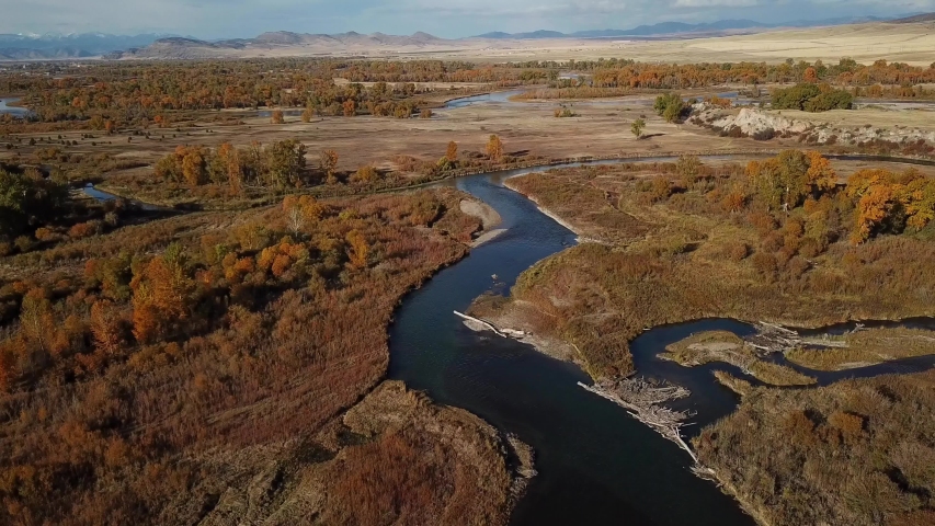 Cinematic Descending Aerial Shot of Gallatin River, Montana. Scenic Golden Fall Vibes, Yellow Trees, Natural Autumn Color Palette in Daylight.