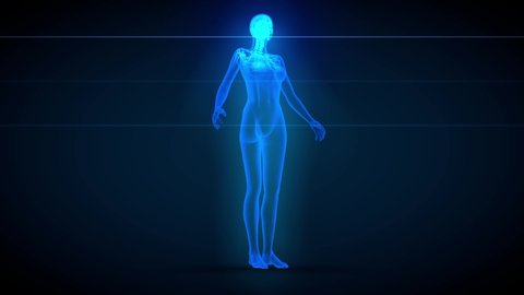 3 different 3D seamless looping animations in 1, female body - x-ray scan with organs and skeleton, physiology illustration - 4K 60fps UHD 