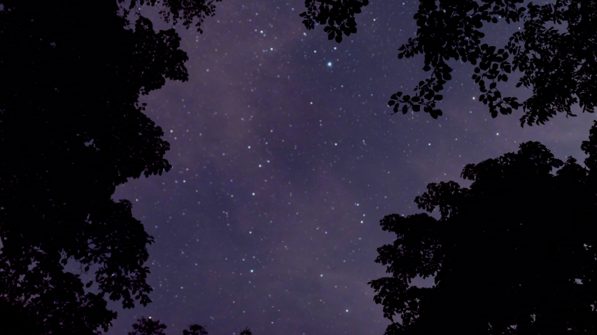 Looking up the Starry Sky at Night (Time Lapse/Tilt Up) Royalty-Free Stock Footage #1058199016