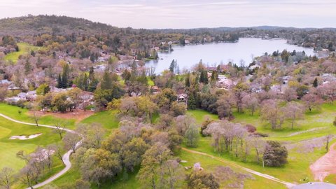 Lake of the Pines Luxury Golf Neighborhood in Auburn, California - Surrounded by Beautiful Green Pine and Assorted Trees, Vivid Bright Green Golf Course and Nature - Drone Flying Up For The Best View