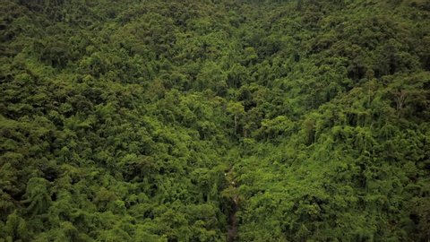 Aerial view flying above lush green tropical rain forest mountain with rain cloud cover during the rainy season on the Doi Phuka Mountain reserved national park the northern Thailand