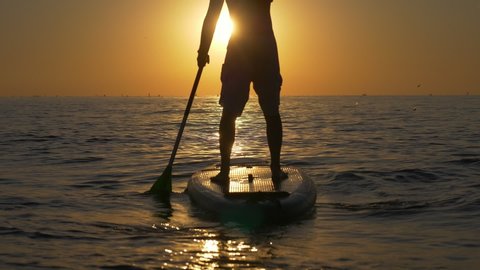 man standing firmly on SUP board and paddling, pushing the paddle through shining water and propelling paddle board at sunrise. High quality 4k footage