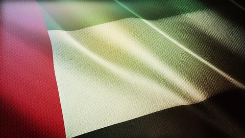 uae flag is waving 3D animation. United Arab emirates flag waving in the wind. National flag of UAE . Sign of dubai seamless loop animation.