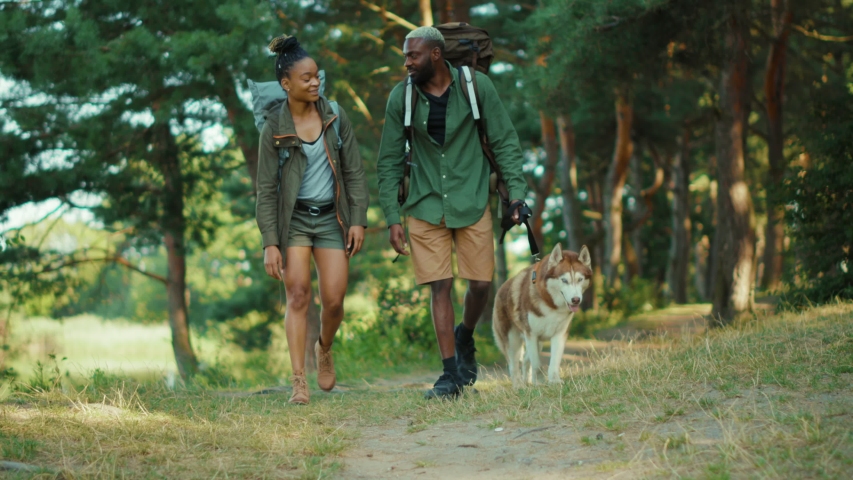 Couple of romantic black man and woman taking their Husky dog on summer travel exploring wild forests nature in team. Families. Tourism. Recreation. Hiking. Royalty-Free Stock Footage #1058231836