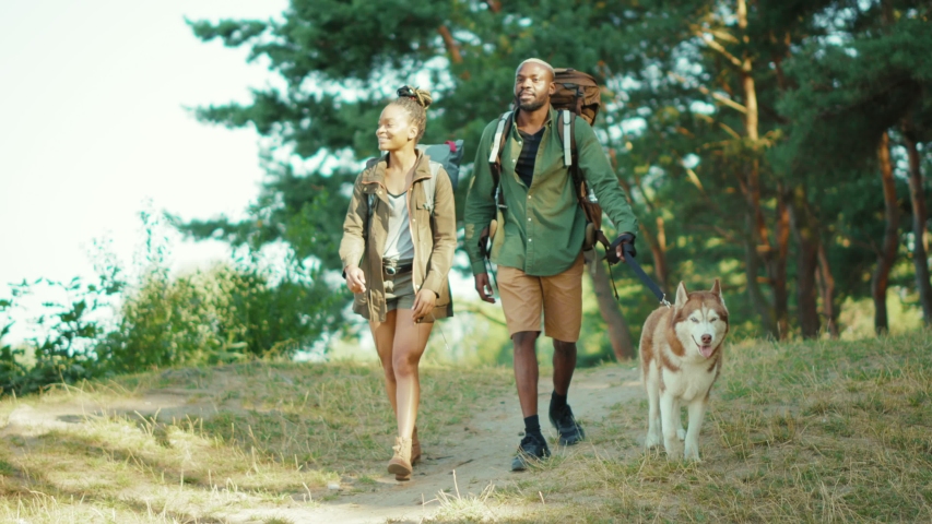 Couple of romantic black man and woman taking their Husky dog on summer travel exploring wild forests nature in team. Families. Tourism. Recreation. Hiking. | Shutterstock HD Video #1058231836