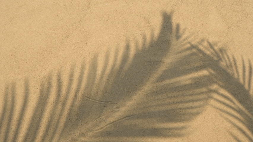 motion of shadows palm leaves on sand beach texture background. Royalty-Free Stock Footage #1058235298