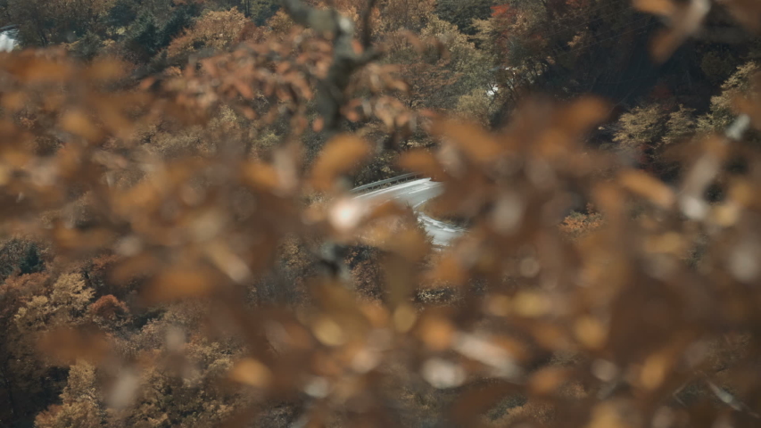 cars on mountain road in beautiful autumn mountain and trees with yellow and orange leaves.