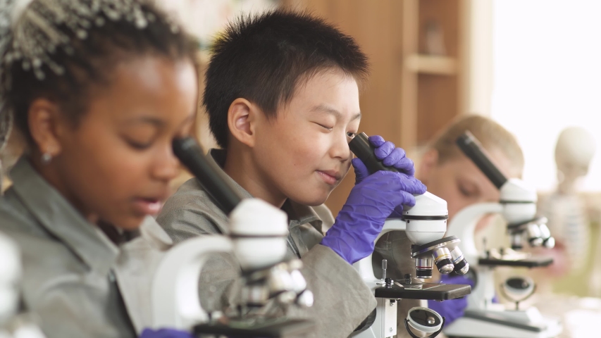 Lesson in a modern school. kids look at microscopes in a chemistry lesson, the process of teaching children in a modern school. Royalty-Free Stock Footage #1058249773