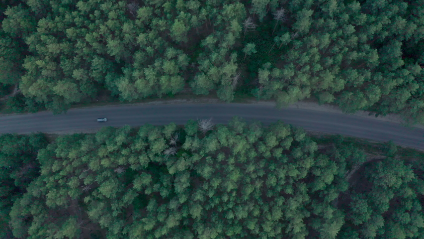 Aerial top down 4k view of car driving on country road in forest in the evening at twilight. Cinematic drone shot flying over gravel road in pine tree forest. aerial view  Royalty-Free Stock Footage #1058256565