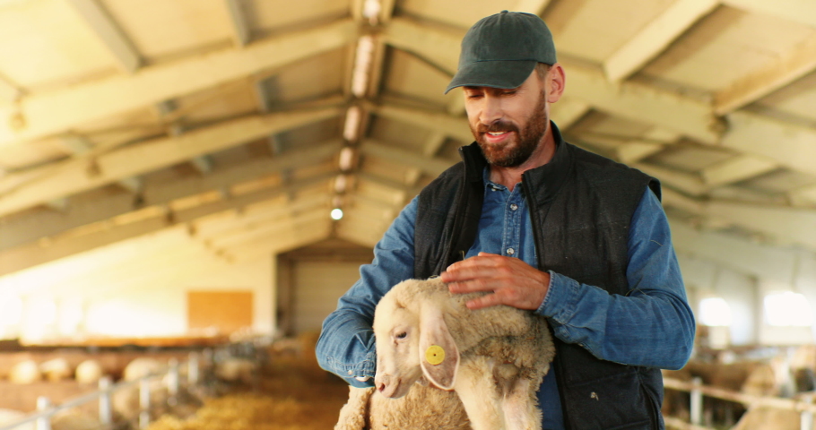 Portrait of young handsome Caucasian man farmer in cap smiling to camera and holding lamb in hands in barn with livestock. Happy cheerful male shepherd caressing cute animal in stable. Petting sheep. Royalty-Free Stock Footage #1058259865