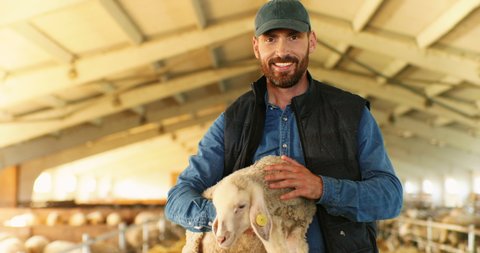 Portrait of young handsome Caucasian man farmer in cap smiling to camera and holding lamb in hands in barn with livestock. Happy cheerful male shepherd caressing cute animal in stable. Petting sheep.