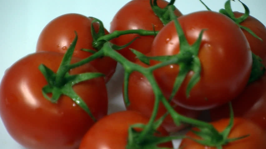 rotating tomatoes