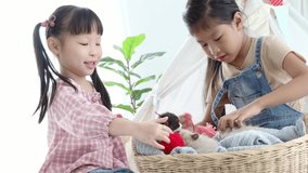 Asian little girl playing with kittens at home, Relationship concept
