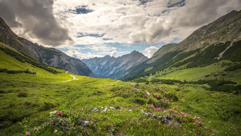 Meadow with flowers in mountains in front alps mountains karwendel austria alps mountains time lapse video.