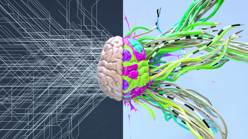 Creative left brain functions and right analytic hemisphere. 3d art color animation background Royalty-Free Stock Footage #1058261836