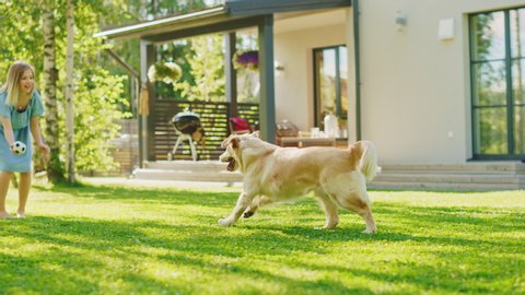 Cute Girl Has fun with Happy Golden Retriever Dog on the Backyard Lawn. She Pets, Plays Fetch and Scratches Back. Happy Dog Plays with Toy Ball. Idyllic Summer House. Slow Motion