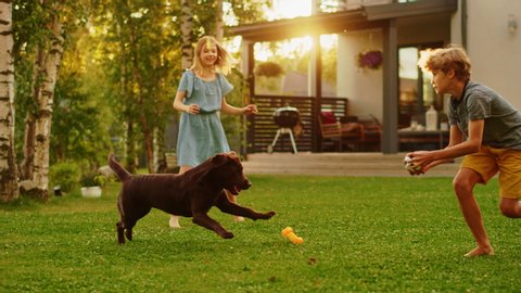 Beautiful Family of Three Play Fetch Toy Ball with Happy Brown Labrador Retriever Dog on the Backyard Lawn. Idyllic Family Have Fun with Loyal Pedigree Dog Outdoors in Summer House. Slow Motion