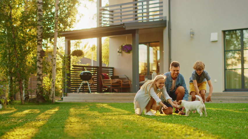 Smiling Father, Mother and Son Pet and Play with Jack Russell Terrier Retriever Dog. Sun Shines on Idyllic Happy Family with Loyal Pedigree Dog have Fun at the Idyllic Suburban House Backyard Royalty-Free Stock Footage #1058261893