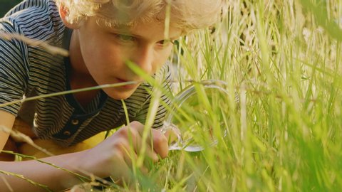 Handsome Young Naturalist Scientist Explores Plant Life and Insect Life with Magnifying Glass. Smart Curious Boy Botanist and Entomologist Explores Nature. Close-up Portrait of Child with Curly Hair