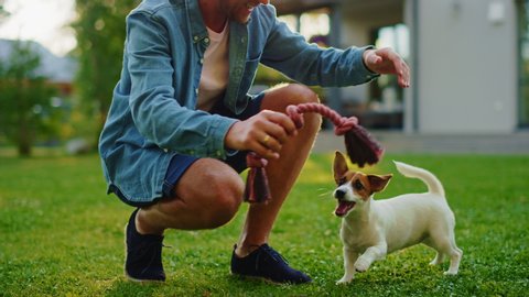 Man Plays with His Jack Russell Terrier Dog Outdoors. He Pets, Trains, Teases His Puppy with Favourite Toy. Idyllic Summer House. Golden Hour Down Time. Low Ground Knee Slow Motion Camera Shot