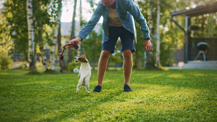 Man Plays with His Jack Russell Terrier Dog Outdoors. He Pets and Teases His Puppy with His Favourite Toy. Idyllic Summer House. Slow Motion | Shutterstock HD Video #1058261926