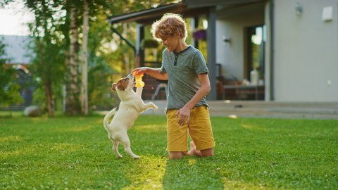 Cute Boy Plays with His Favourite Dog Friend while Having Picnic Outdoors on the Lawn. He Pets and Teases His Little Jack Russel Terrier with His Favourite Toy. Idyllic Summer House. Slow Motion