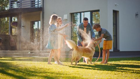 Smiling Father, Daughter, Son Play With Loyal Golden Retriever Dog, Spraying Each other with Garden Water Hose. On a Sunny Day Family Having Fun Time Together Outdoors in Backyard. Slow Motion Shot