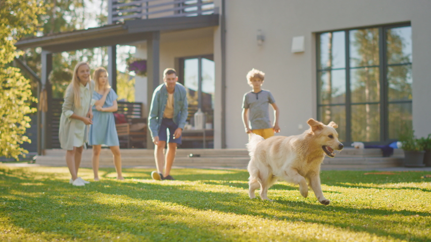 Smiling Beautiful Family of Four Play Fetch with Happy Golden Retriever Dog on the Backyard Lawn. Idyllic Family Has Fun with Loyal Pedigree Dog Outdoors in Summer House Backyard. Slow Motion Royalty-Free Stock Footage #1058261989