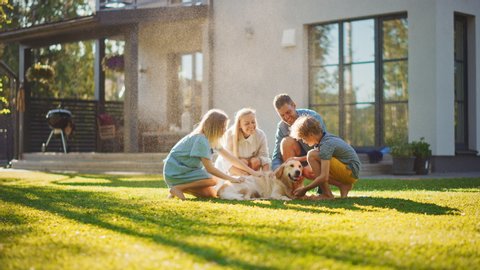 Smiling Father Mother Son Pet Play Stock Photo 1853535643 | Shutterstock