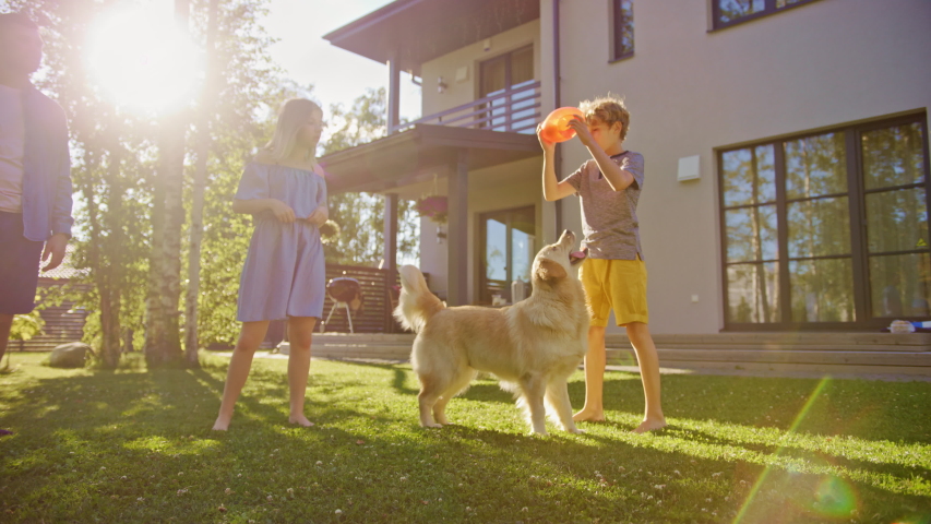 Beautiful Family of Four Play Catch Toy Ball with Happy Golden Retriever Dog on the Backyard Lawn. Idyllic Family Has Fun with Loyal Pedigree Dog Outdoors in Summer House Backyard.Handheld Dolly Shot Royalty-Free Stock Footage #1058261998