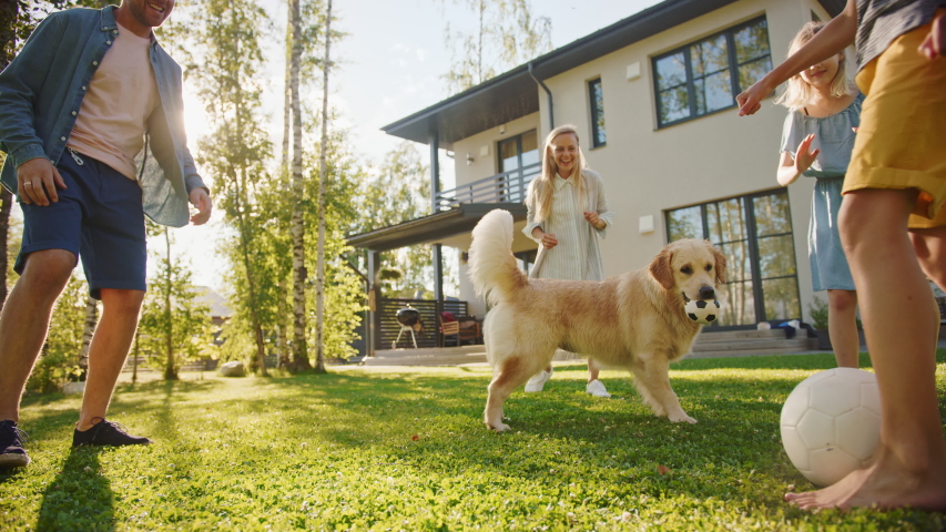 Smiling Beautiful Family of Four Play Soccer with Happy Golden Retriever Dog at the Backyard Lawn. Idyllic Family Having Fun with Loyal Pedigree Puppy Outdoors in Summer House. Handheld Ground Shot Royalty-Free Stock Footage #1058262043