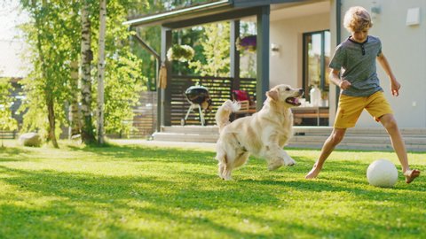 Handsome Young Boy Plays Soccer with Happy Golden Retriever Dog at the Backyard Lawn. He Pets, Plays Football and Has Lots of Fun with His Loyal Doggy Friend. Idyllic Summer House. Slow Motion