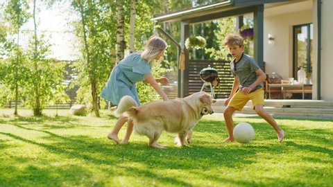 Two Kids Have fun with Their Handsome Golden Retriever Dog on the Backyard Lawn. They Pet, Play, Tackle it on the Ground And Scratch. Happy Dog Holds Toy Football in Jaws. Suburb House in the Summer