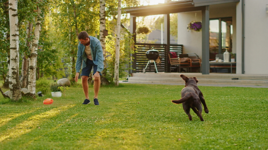 Handsome Man Plays Catch with Happy Brown Labrador Retriever Dog on the Backyard Lawn. Man Has Fun with Loyal Nobel Pedigree Dog Outdoors in Summer House Backyard. Slow Motion Shot Royalty-Free Stock Footage #1058262166