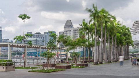 Walk way with palms beside at parks and outdoor of marina bay with singapore skyscrapers skyline timelapse hyperlapse. View from shopping mall
