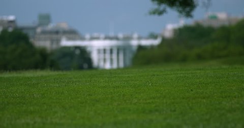 White House Rack Focus with Grass from Capital Mall Washington DC
