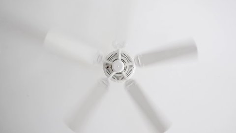 White ceiling electrical fan in motion