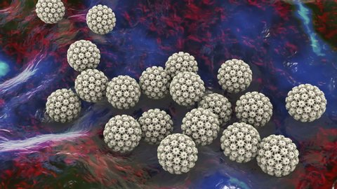 Human papillomavirus, a virus which causes warts, some strains infect genitals and can cause cervical cancer, 3D animation