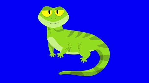 85 Gecko Cartoon Stock Video Footage - 4K and HD Video Clips | Shutterstock