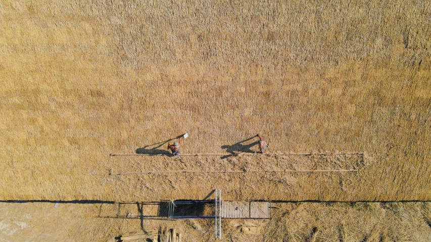 Aerial view the roof of a large house with dry straw and hay. Workers who install the roof.